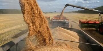 “الكرملين: بوتين يأمر بتسهيل تجارة الحبوب مع الهند والصين ودول أخرى”